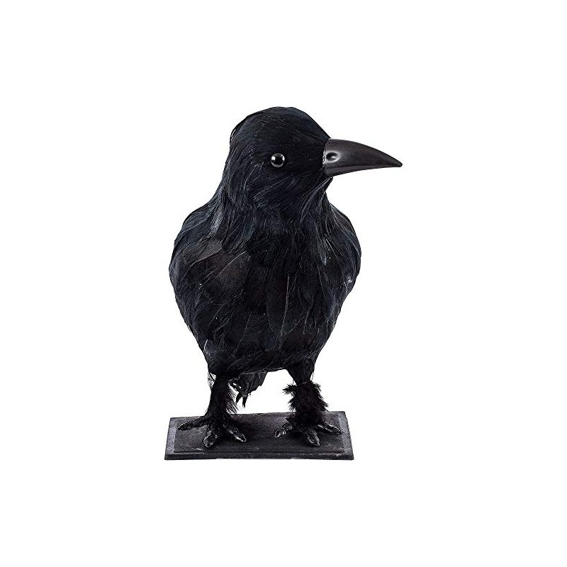 Sunstar Industries Crow - Closed Wings in