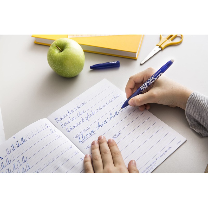 Pilot Spain Frixion Ball Erasable Pen – Pack of 2