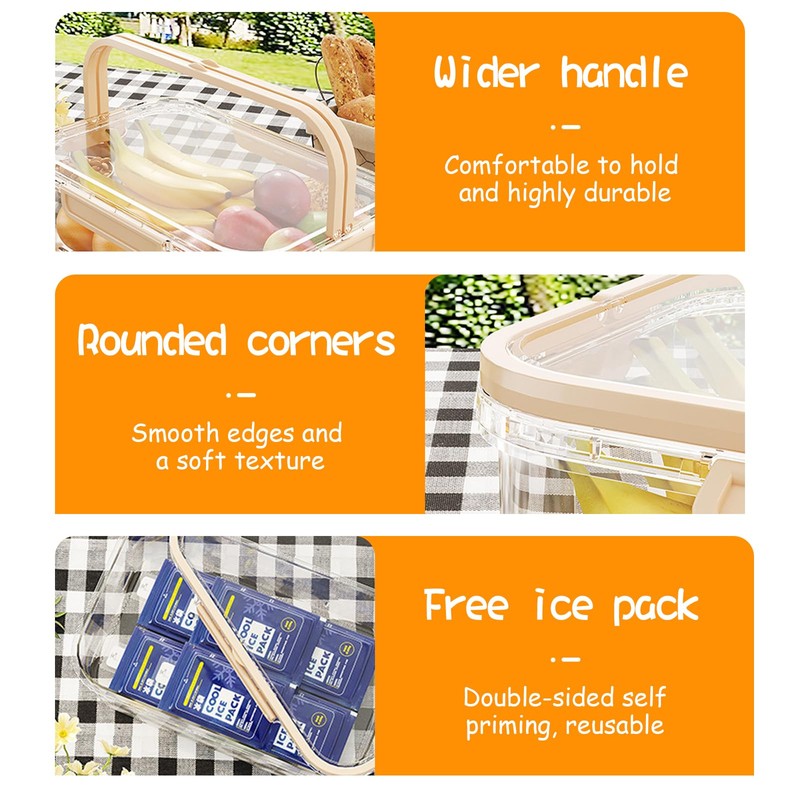 ZQZXD Insulated Cold Food Storage Container with Handle & Lid,
