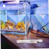 NOLITOY 1set Aquarium Accurate Fish Tank Hydrometer for Seawater Testing