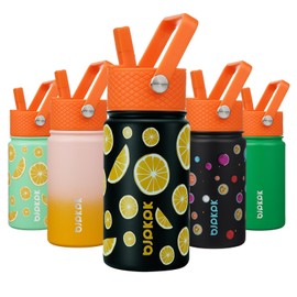 BJPKPK Insulated Water Bottle with Straw Lid, 15 oz Stainless Steel Metal Water Bottles, Reusable Leak Proof BPA Free Thermos, Flask, Cups - Lemon