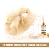 DRESHOW Fascinators Hat Mesh Veil Feathers Hat with a Headband