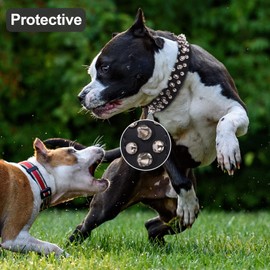 Dog Collars for Medium Dogs with Leash, Epesiri Spiked Dog Collar for Large Dogs, Dog Collar, Studded Rivet Pit Bull Leather Dog Collar Durable Cat Collar for Small Medium Large Pet Gift