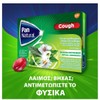 GlaxoSmithKline Pan Natural Cough Lozenges for Dry and Productive Cough
