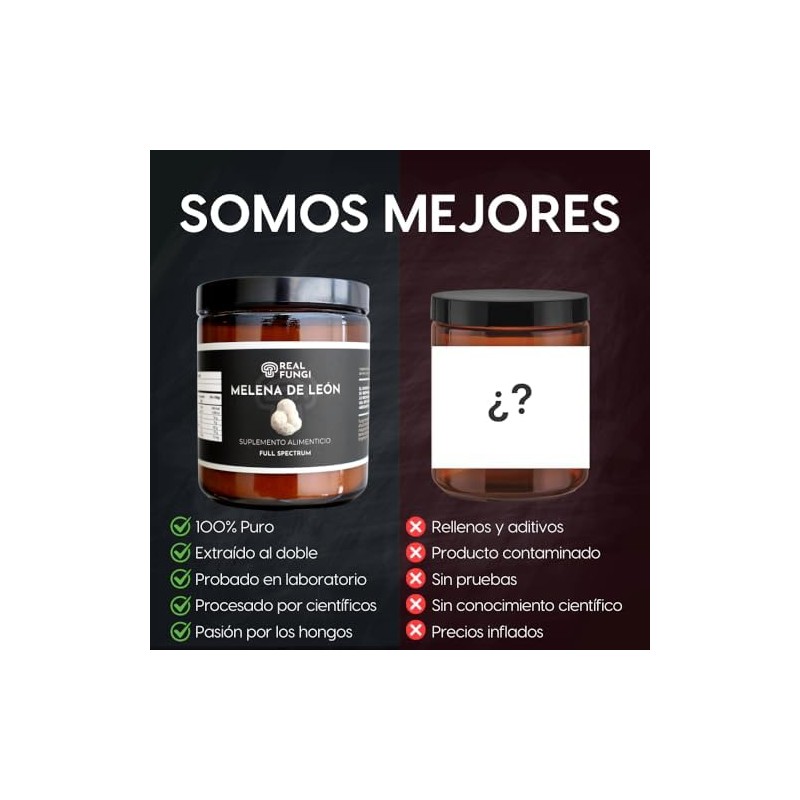 Hongo Melena de Leon 100 Puro - Real Fungi -