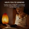 The Body Source Himalayan Salt Lamp 6-8 Inches (4-7lb) |