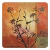 Plymouth Pottery - Sunset Coasters - Set of 6