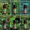 SALKING Woodsy Essential Oils Set for Men, Masculine Essential Oils,
