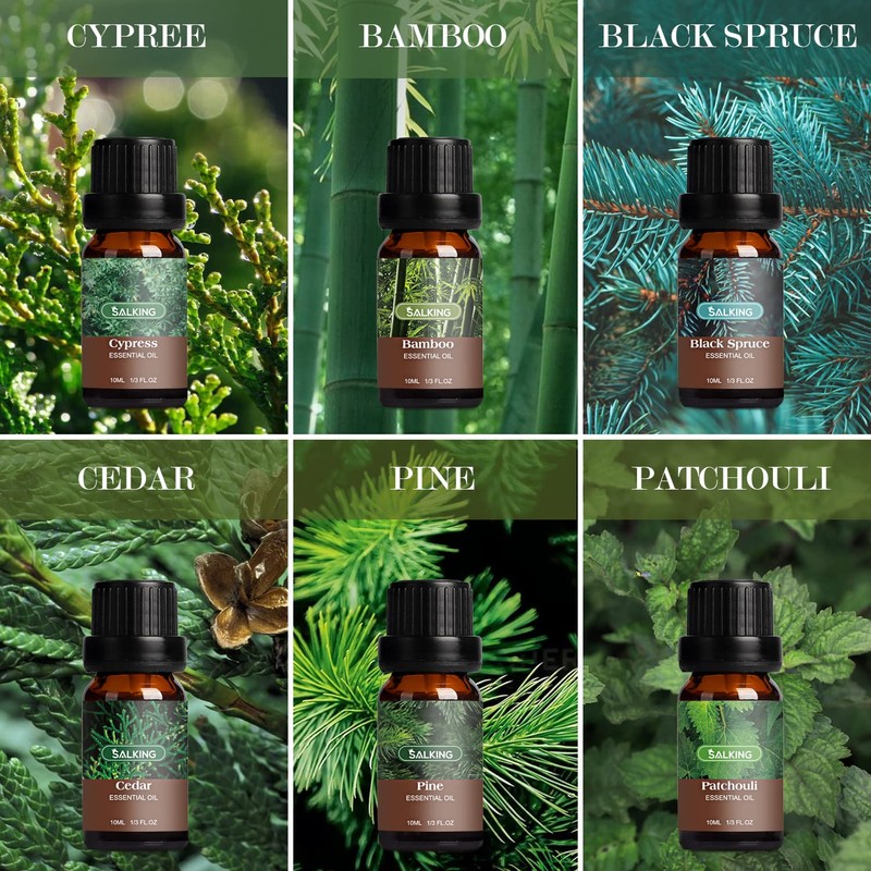 SALKING Woodsy Essential Oils Set for Men, Masculine Essential Oils,