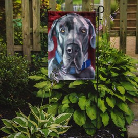 Caroline's Treasures 7310GF Great Dane Natural Ears Blue Collar Garden Flag Mailbox Flag Decorative Yard Flag Banner Outside Patio Artwork Yard Flower Beds, Garden Size, Multicolor