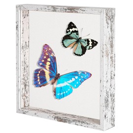 Califortree 11x11 Shadow Box Picture Frame with Soft Linen Back - Metal Push Pins Included, Memory Box Display Case for Memorabilia Flower Awards Medals Wedding Photos, Rustic White