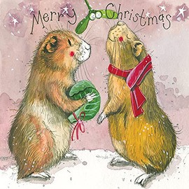 ALEX CLARK Festive Guinea Christmas Card (Pack of 5)