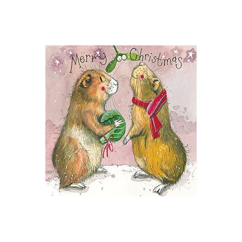ALEX CLARK Festive Guinea Christmas Card (Pack of 5)