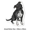 4 x Small 50mm 'Pitbull' Permanent Sticker Decals for Cars/Windows/Bins/Walls