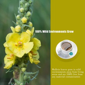 YUNHE TEA Pack of 25 Mullein Leaf Tea Bags, Mullein Tea Bags for Lungs, 3gX25 Teabags Non GMO, Caffeine-free Natural Herbal Tea, Mullen Tea for Lungs