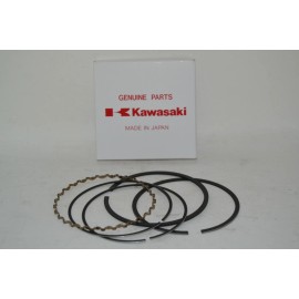 Kawasaki OEM Kawasaki Piston Ring Set STD 13008-6025 Mule 2510 3010 4010 Parts Fish