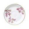 Okura Toen Sakura Series 4th "Celebration Sakura" Cup & Saucer