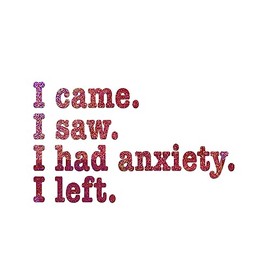 I Came I Saw I Had Anxiety Sticker Decal Notebook Car Laptop 5.5"x3.25" (Pink Holographic Giltter)