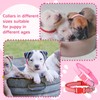 GGSTDDUP 36 Pcs Puppy Collar and Leash Set, Adjustable New