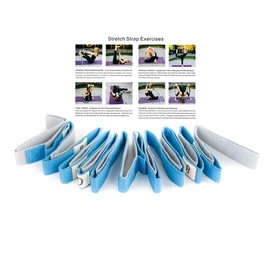 ECHAIN Yoga Stretch Strap 12 Loops Physical Therapy Multi-Grip Pilates Stretching Belt -Workout Instruction Included (Blue, 98inch(250cm))