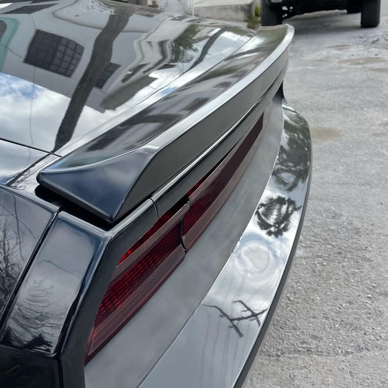 HECASA Rear Trunk Spoiler Wing Compatible with 2008-2023 Dodge Challenger