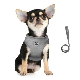 FEimaX Dog Harness and Leash Set, No-Pull Breathable Soft Mesh Puppy Vest Harness Reflective Adjustable Pet Harnesses for Small Medium Large Dogs and Cats - Outdoor Easy Control for Walking