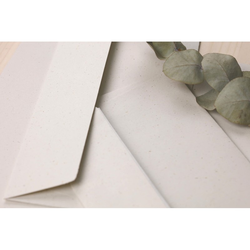 Clairefontaine 55014C - Pack of 25 Sheets of Pollen Natura,