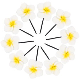 FRCOLOR 10pcs Flower Hair Clips for Women Hairpins Hair Accessories for Girls Unique Floral Ages for Everyday Wear and Special Occasions