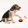 Voice Recording Button, Dog Buttons for Communication Pet Training Buzzer,