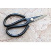 Crude - Small 2 Inch Asian Carbon Steel Kitchen Shears