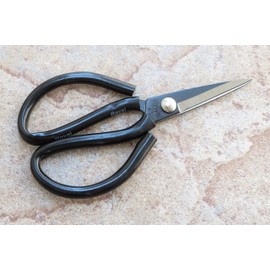 Crude - Small 2 Inch Asian Carbon Steel Kitchen Shears Scissors, Sharp ! Fish & Poultry