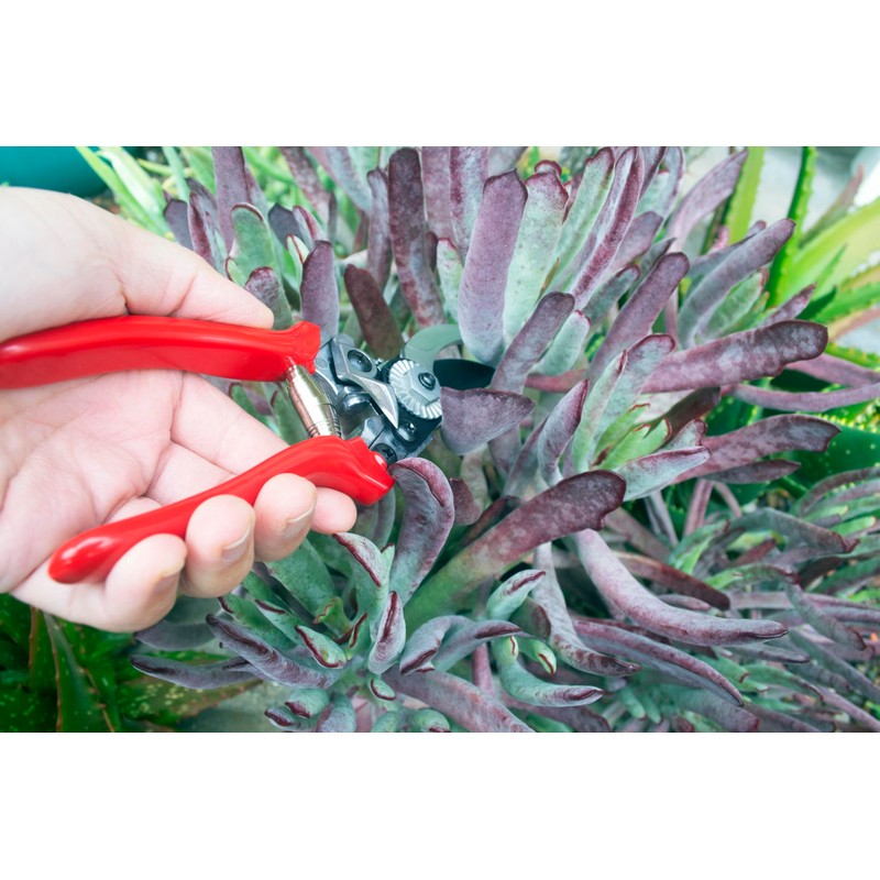 Corona Tools Yard Essentials Pocket Pruner