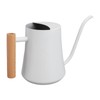 Stainless Steel Watering Can Pot Retro Small Plant Watering Can