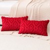 Artscope Pack of 2 Soft Plush Short Wool Velvet Decorative