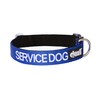 Dexil Service Dog Blue Color Coded L-XL Buckle Collar (15-25"