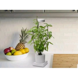 leafy  Leafy Indoor LED Desktop Aerogarden Hydroponics & Grow Light System