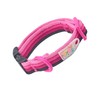 Dog Collar, Basic Collar for Dogs, Dog Collar, Training Collar