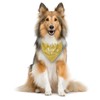 Be Kind I’m Blind Dog Bandana, Yellow Dog Bandana, Blind