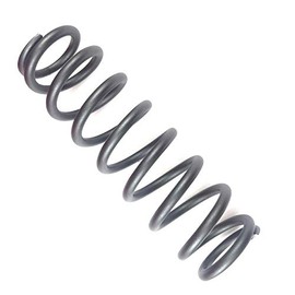 NEW OEM CAN-AM RYKER 2-UP REAR SPRING - BLACK - NOT COMPATIBLE W/RALLY EDITION