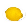 CafePress Lemon Oval Car Magnet, Euro Oval Bumper Magnet