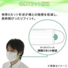 Iris Ohyama Mask Non-woven Pleated Mask, 120 Pieces, Regular Size,