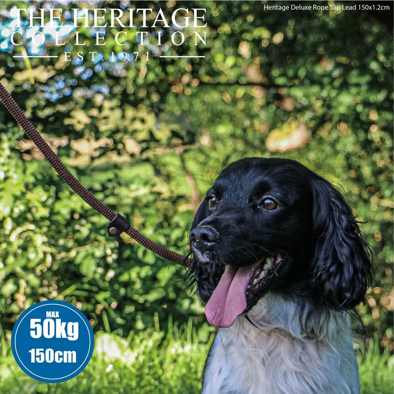 Ancol Deluxe Nylon Rope Slip Lead Brown 1.5mx12mm