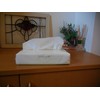 [Commercial] and dyslexia EF Tissue Regular Poly Pack Of 320 (160 Pairs)