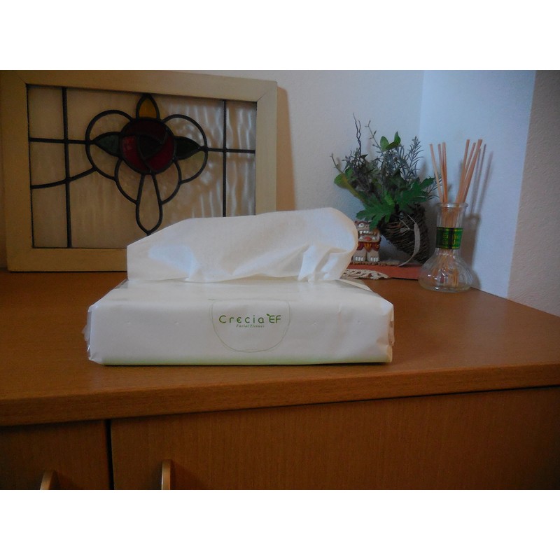 [Commercial] and dyslexia EF Tissue Regular Poly Pack Of 320 (160 Pairs)