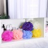 Siifert Piezas Esponja Baño Ducha Loofahs Granel Luffas Exfoliante Cuerpo