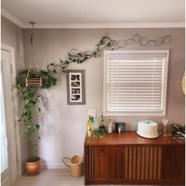 Indoor Plant Trellis for Climbing Plants, DIY Lengths with Connect-Hooks Indoor Chain Trellis Plant with Twist, Ties and Hooks for Vines Pothos