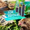 Eckpo Dimmable LED Reptile UVB Lamp, 20000 Hours - Much