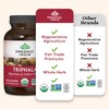 ORGANIC INDIA ORGANIC INDIA Triphala Capsules Organic - Herbal Supplement