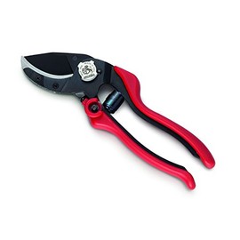 AUSONIA - 31082 PROFESSIONAL PRUNING SHEARS EVO 6 CM 20, CURVED ANVIL MODEL