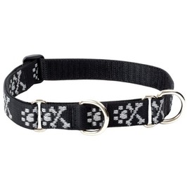 LupinePet Originals 1" Bling Bonz 15-22" Martingale Collar for Medium and Larger Dogs